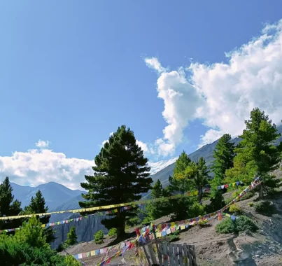 Annapurna Circuit Trek