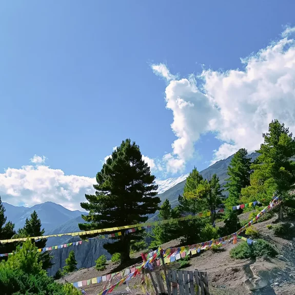 Annapurna Circuit Trek